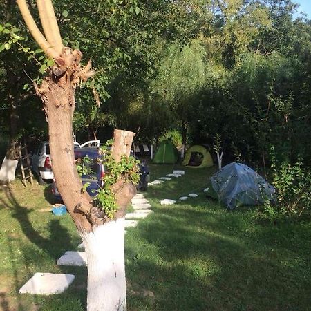 Camping In Clisura Dunarii Ieşelniţa Exteriör bild