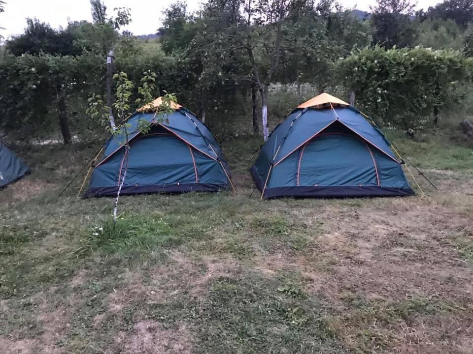 Camping In Clisura Dunarii Ieşelniţa Exteriör bild