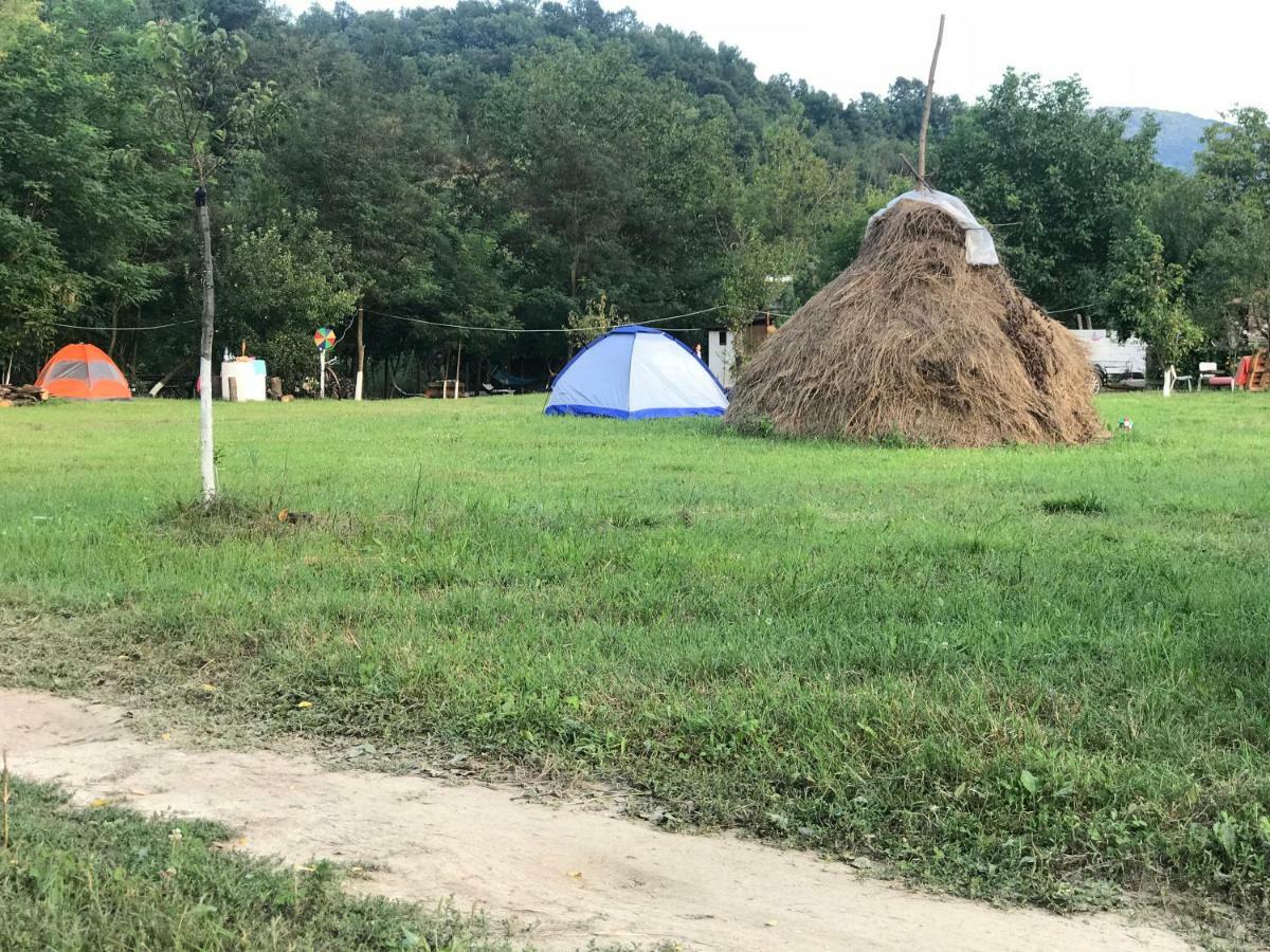 Camping In Clisura Dunarii Ieşelniţa Exteriör bild