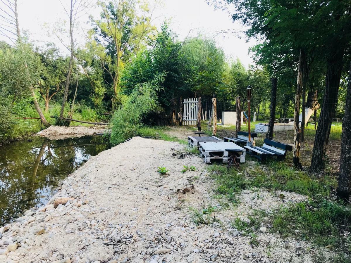 Camping In Clisura Dunarii Ieşelniţa Exteriör bild