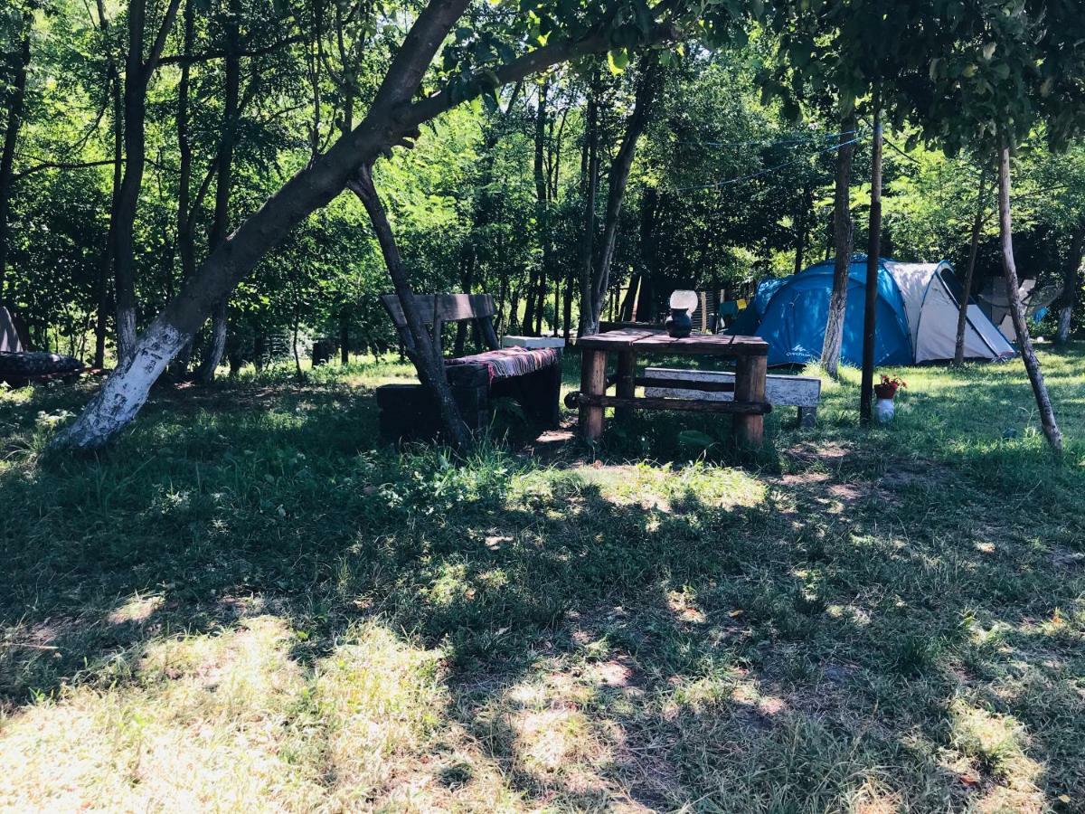 Camping In Clisura Dunarii Ieşelniţa Exteriör bild