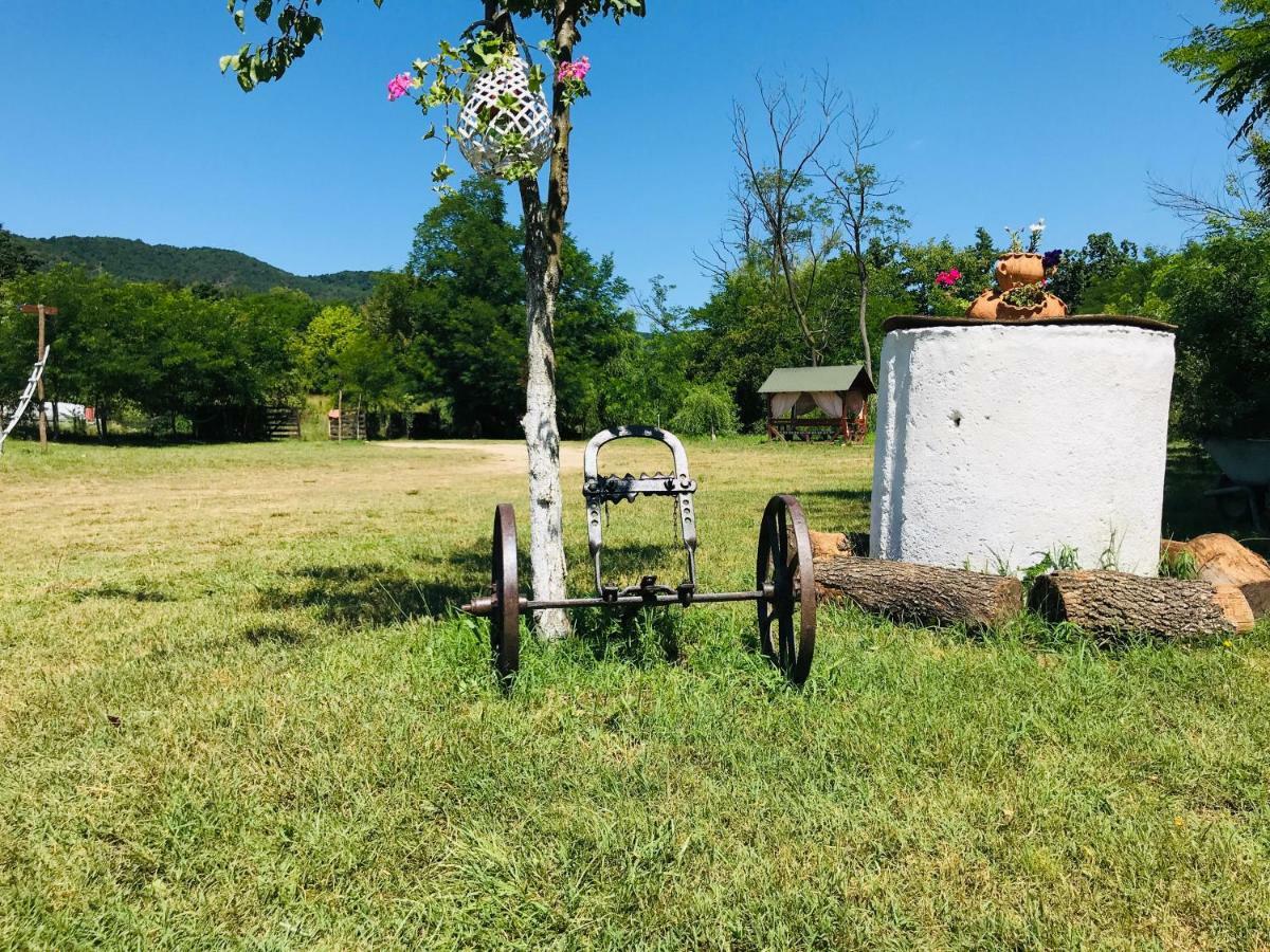 Camping In Clisura Dunarii Ieşelniţa Exteriör bild