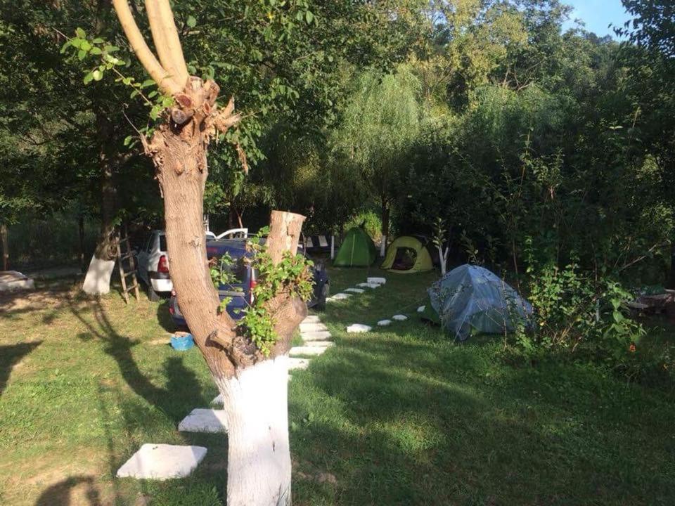 Camping In Clisura Dunarii Ieşelniţa Exteriör bild