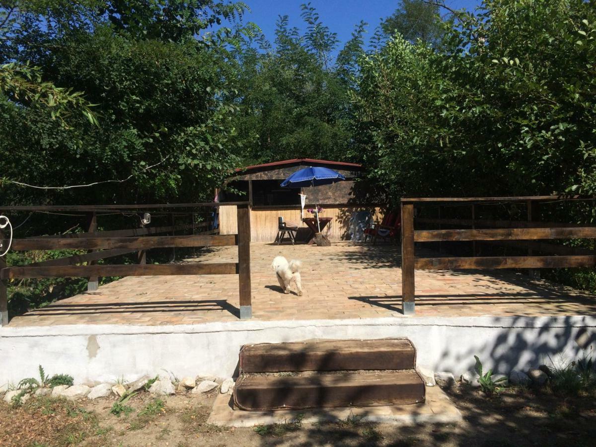 Camping In Clisura Dunarii Ieşelniţa Exteriör bild