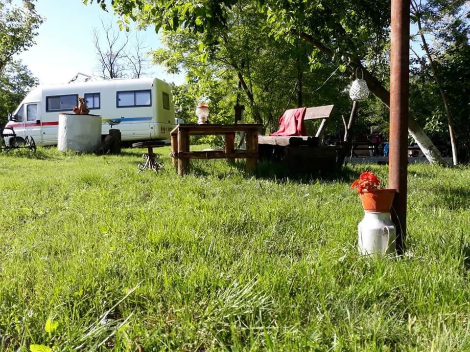 Camping In Clisura Dunarii Ieşelniţa Exteriör bild